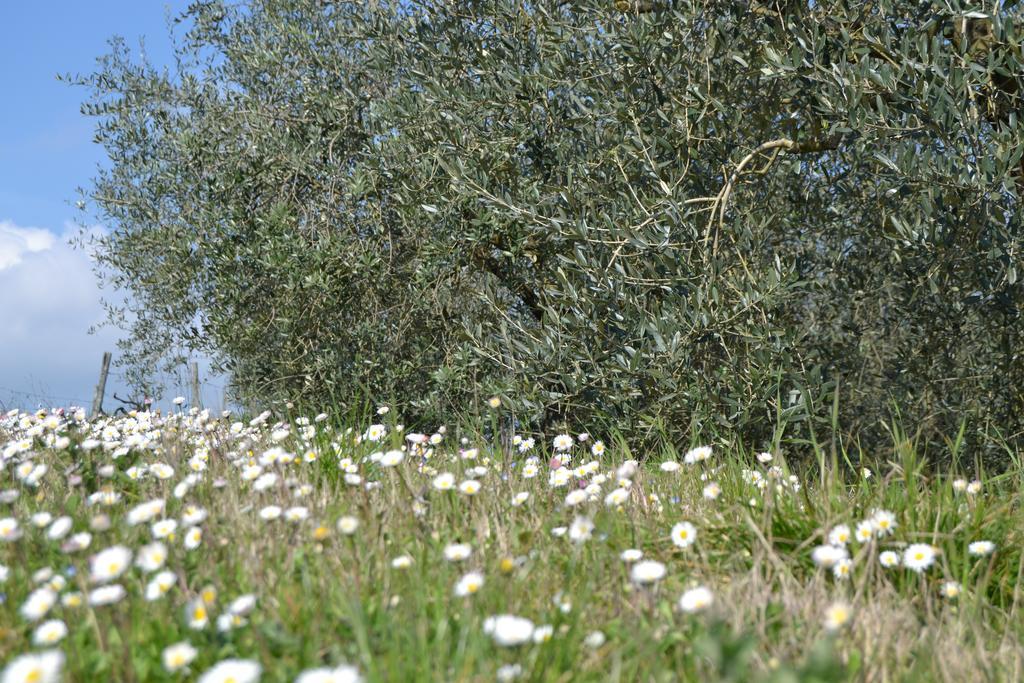 Agriturismo La Querce Rignano sullʼArno Exterior foto