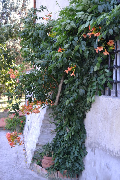 Agriturismo La Querce Rignano sullʼArno Exterior foto