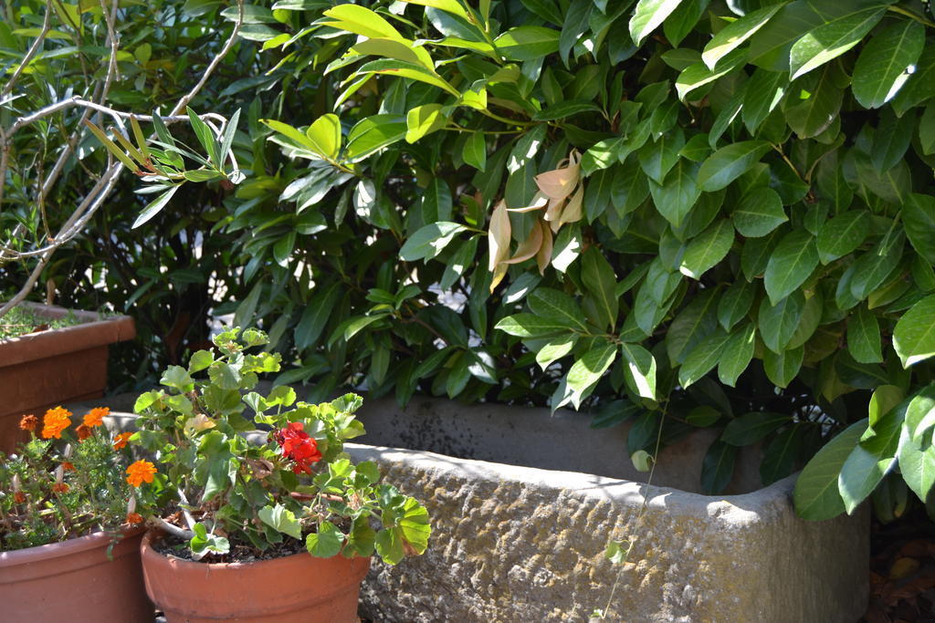 Agriturismo La Querce Rignano sullʼArno Exterior foto