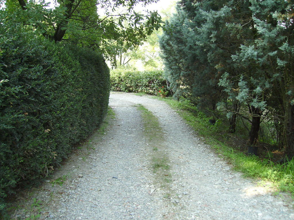 Agriturismo La Querce Rignano sullʼArno Exterior foto