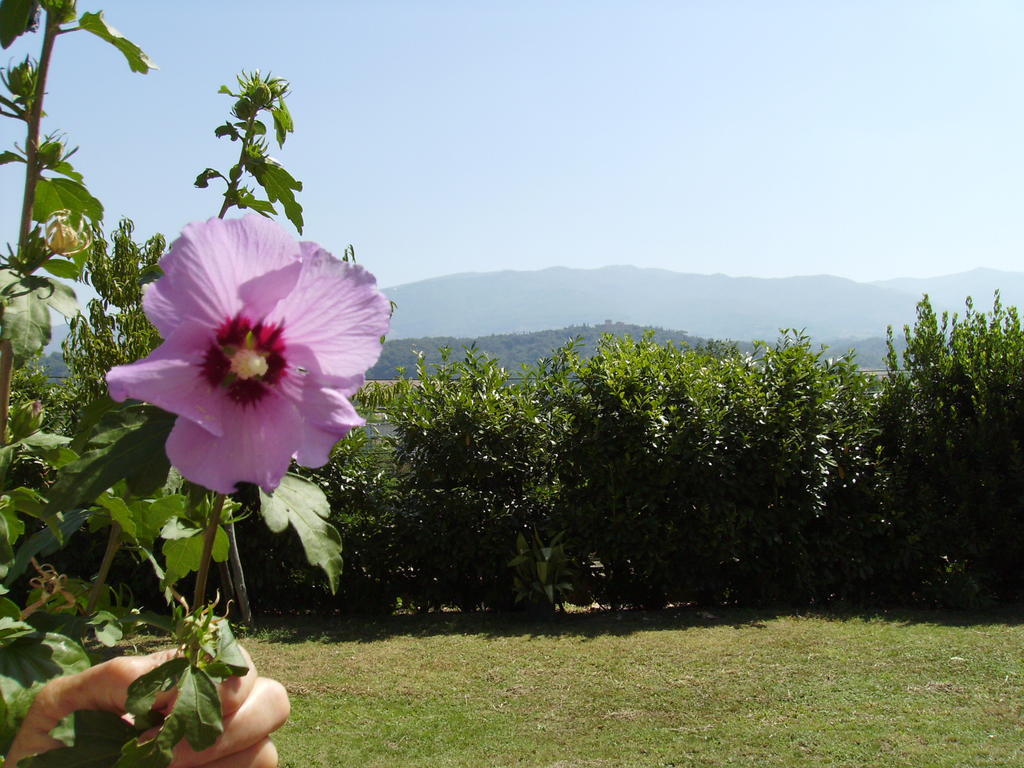 Agriturismo La Querce Rignano sullʼArno Exterior foto